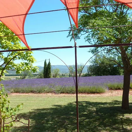 Luberon & Lavandes 別荘