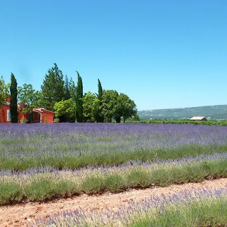 Luberon & Lavandes *