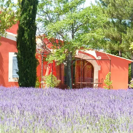 Luberon & Lavandes *